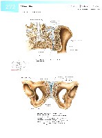 Sobotta  Atlas of Human Anatomy  Trunk, Viscera,Lower Limb Volume2 2006, page 279